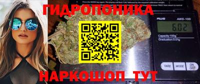 прущие крисы Кунгур