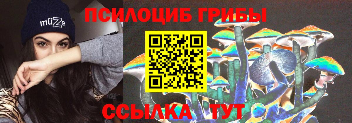 Галлюциногенные грибы MAGIC MUSHROOMS Зима