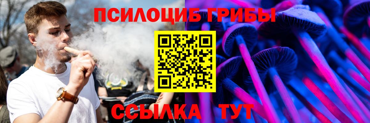 Псилоцибиновые грибы Psilocybine cubensis  Вход с VPN  Зима 